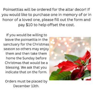 Pointsettia plants may be purchased for the sanctuary 